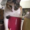 ご飯の催促中^_^