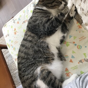 の写真