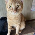 3兄弟！