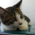 オト　　甘えん坊な男の子