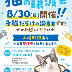 【入場制限あり】NPO法人 府中猫の会 子猫だらけの譲渡会