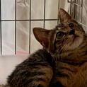 怖がりブンちゃん甘えん坊さんに
