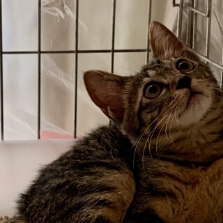 怖がりブンちゃん甘えん坊さんに