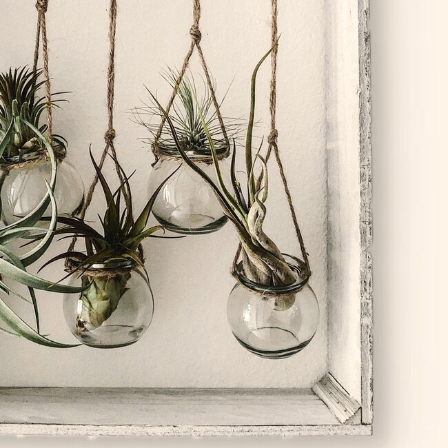 hayashi.hachuのカバー写真