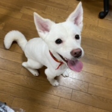 もうすぐ1年♪