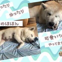 「倉敷っ子、たか子さんからの残暑見舞い」サムネイル2