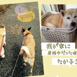 「倉敷っ子、たか子さんからの残暑見舞い」サムネイル3