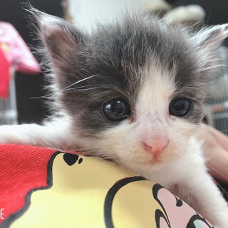 ぽっこりお腹がチャームポイント⭐︎