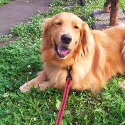 とおる君の命日