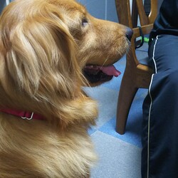 「とおる君の命日」サムネイル3