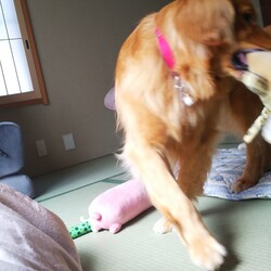 「とおる君の命日」サムネイル2