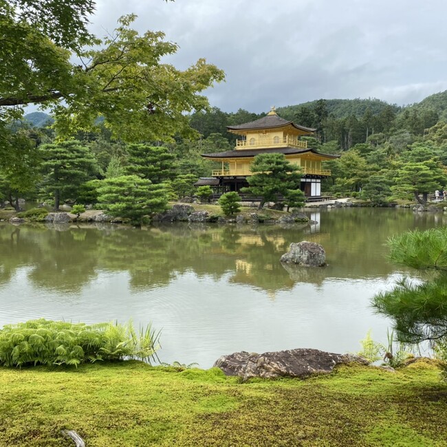 @t23のカバー写真