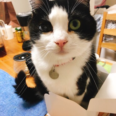 の写真