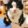 の写真