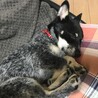 2020年2月1日　3ヶ月