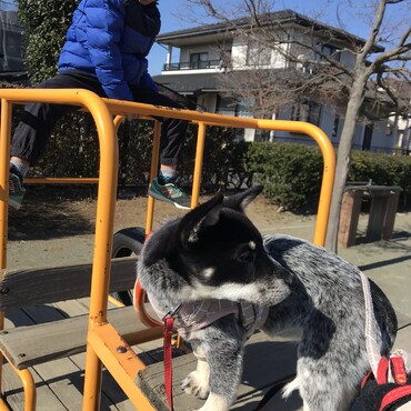 2020年2月11日