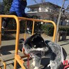 2020年2月11日