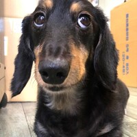ブランキー
