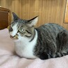 の写真