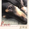 の写真
