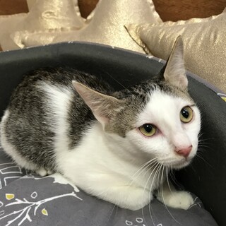 かわいい４ヵ月の女の子(=^x^=)