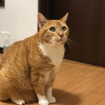 の写真
