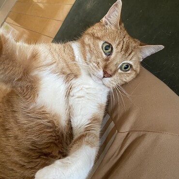 の写真