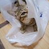 懐かしき5か月目