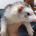 素敵なご縁に巡り会えました