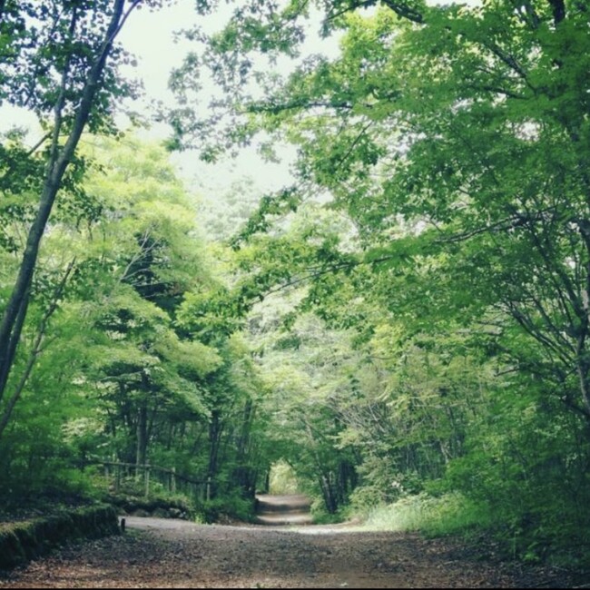 Ranko210のカバー写真