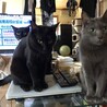 朝の風景です。毎朝ミーティングがあり、組長ロンから話があります。
