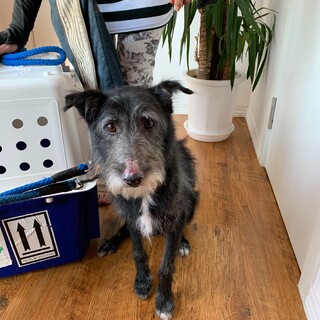 4年間寂しい思いをしたこの子に幸せを！！