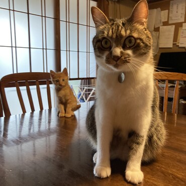 の写真