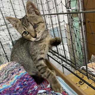 里親さま決まりました☆