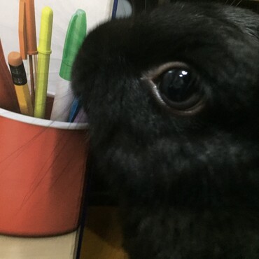 の写真