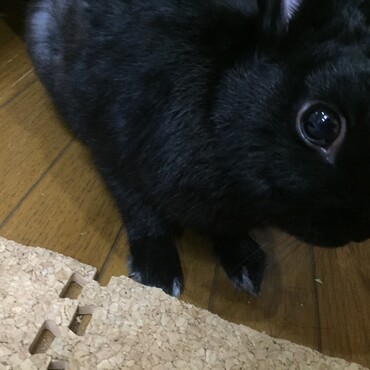 の写真