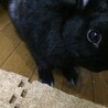 の写真