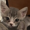 ありがとうございました！