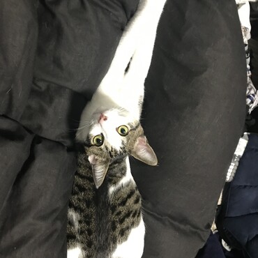 の写真