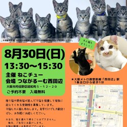 ねこチュー　猫の譲渡会