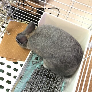 飼育用具フルセット