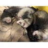 たかさあ