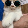 みぁ。