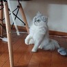 もう紐がびちょびちょだよ笑