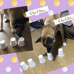 「暑い夏は・・脳トレ？！」サムネイル2