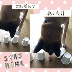 「暑い夏は・・脳トレ？！」サムネイル3