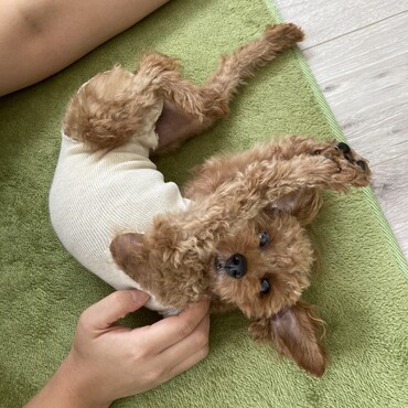 の写真