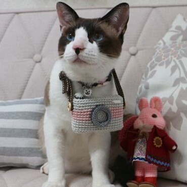 友達の手作りハンドメイド　カメラを首にかけ、気分はカメラマン♪