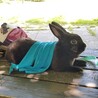 暑いですが公園にお散歩に行ってきました