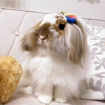 たまには、やわらか毛糸リボンでおめかし！女の子だもの〜